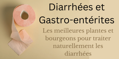 Diarrhées et gastro-entérites: les meilleurs plantes et bourgeons